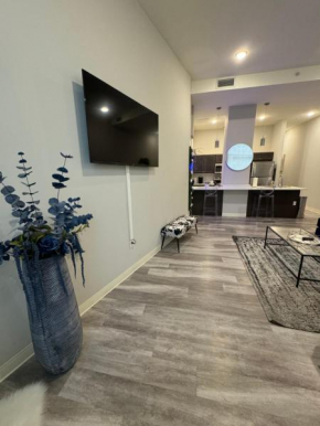 Beautiful Condo/Rooftop Patio With Free Parking